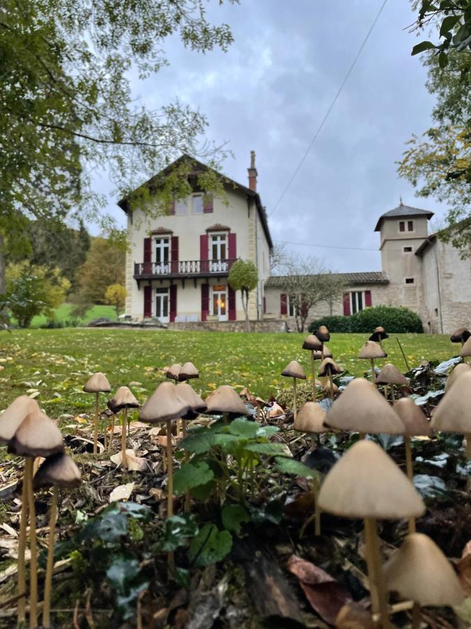 Bed and Breakfast Domaine La Rose Caylus Экстерьер фото